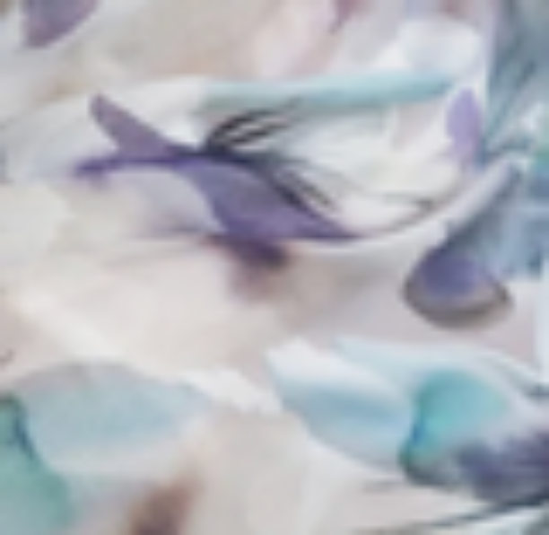 Flora